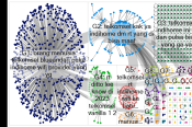 Telkomsel Nodexl.xlsx