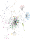 제주항공 사고 OR 제주항공 2216편 OR 무안공항 참사 Twitter NodeXL SNA Map and Report for 수요일, 19 3월 2025 at 15:10 UTC