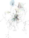 제주항공 사고 OR 제주항공 2216편 OR 무안공항 참사 Twitter NodeXL SNA Map and Report for 수요일, 19 3월 2025 at 15:10 UTC