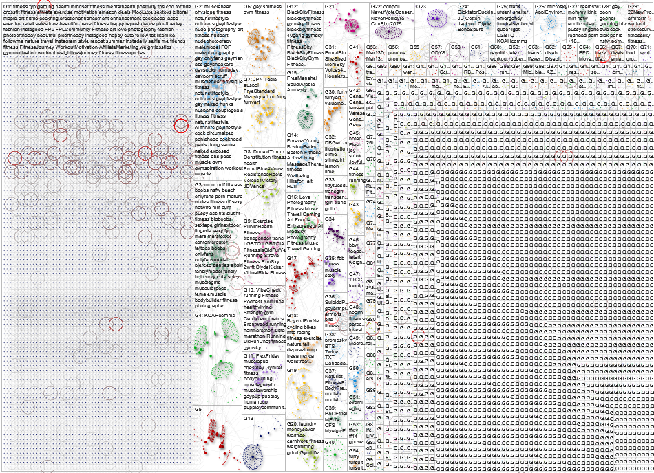 20250402-NodeXLGraph-bluesky-fitness -.xlsx