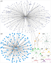 Luxury Fashion OR Social Influencers OR Marketing Twitter NodeXL SNA Map and Report for Wednesday, 2
