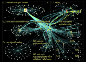 actparty Twitter NodeXL SNA Map and Report for Tuesday, 07 February 2023 at 10:15 UTC