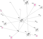 NodeXLGraph1